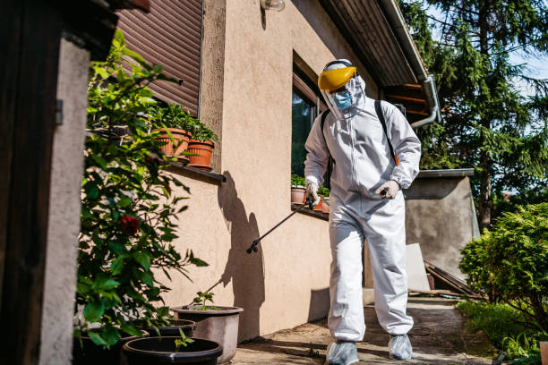 Best Pest Inspection Near Me  in Haines City, FL