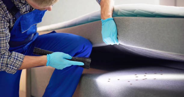 Best Emergency Pest Control  in Haines City, FL