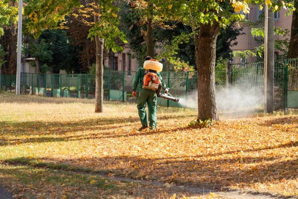 Best Pest Prevention Services  in Haines City, FL