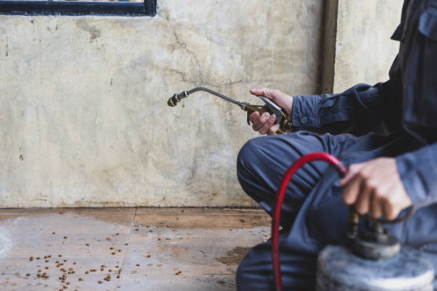 Best Pest Inspection Near Me  in Haines City, FL